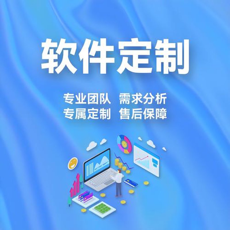 网站开发